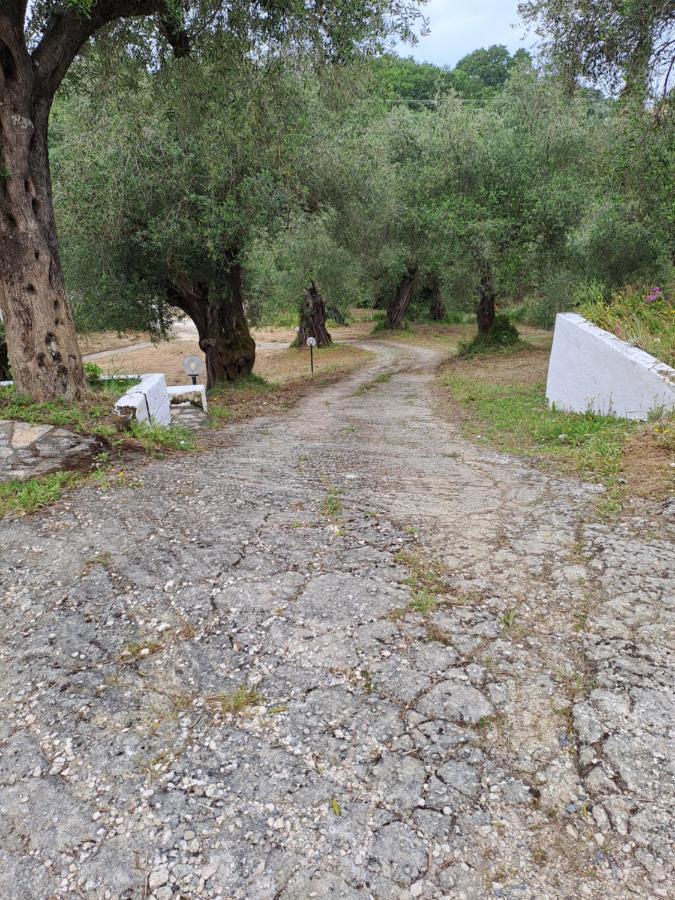 Appartamento Evridiki Mesongí