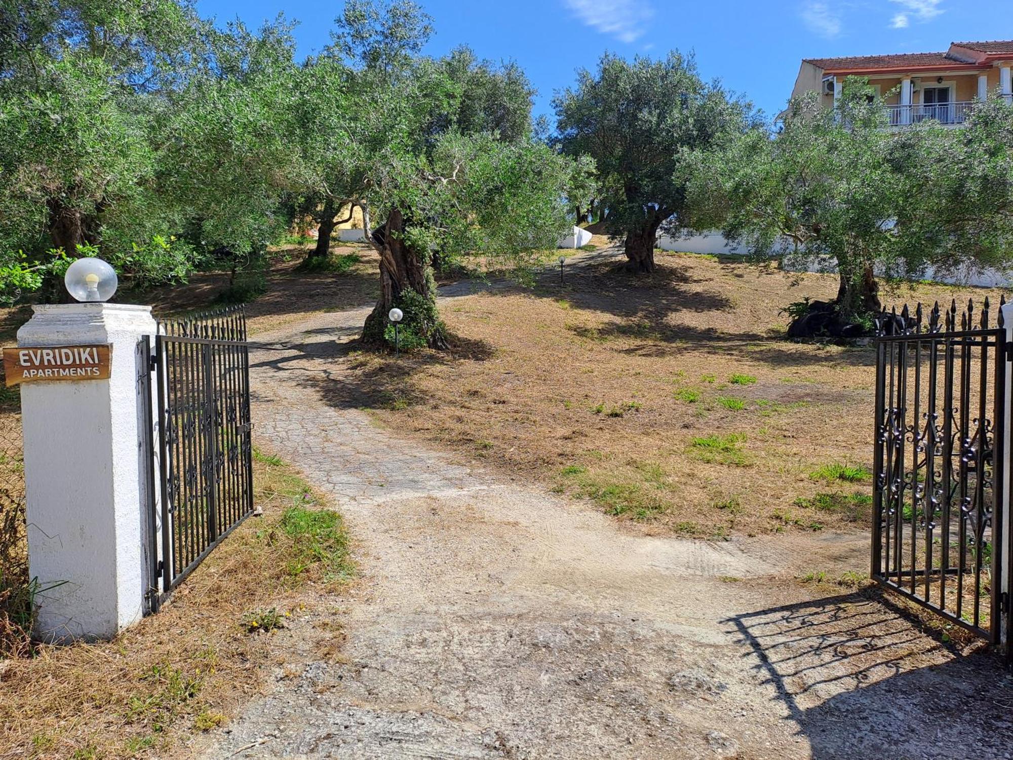 Evridiki Appartamento Mesongí